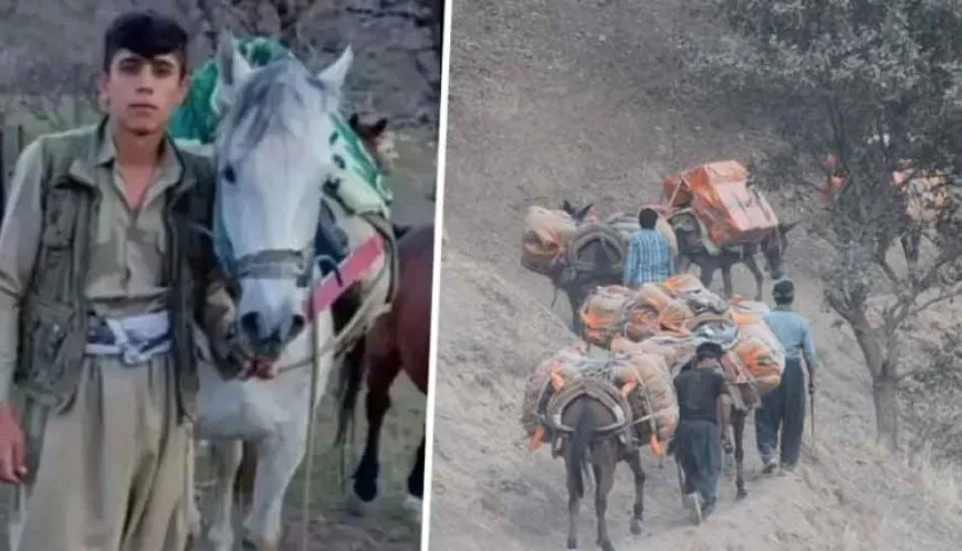 Rejîma Îranê li Serdeştê kolberek qetil kir
