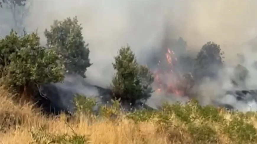 Di encama bombebarana balafiran de gundên Amêdîyê şewat derket