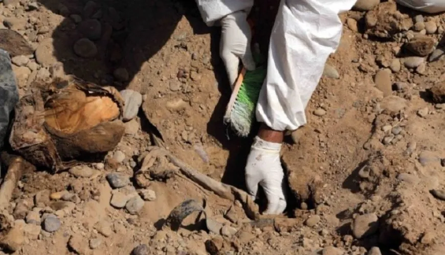 Li Nînowayê gorek komî hate dîtin