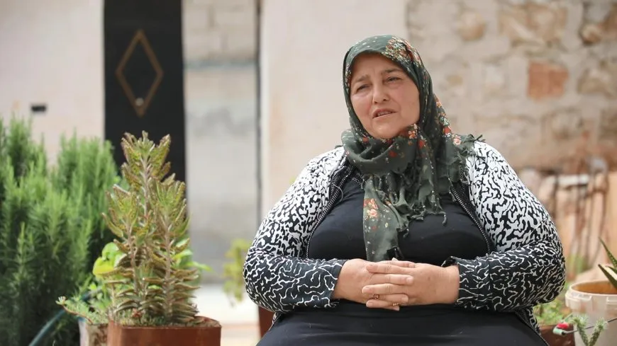 Mîna sembola vegerê dareke zeytûnê li pêş mala xwe çand