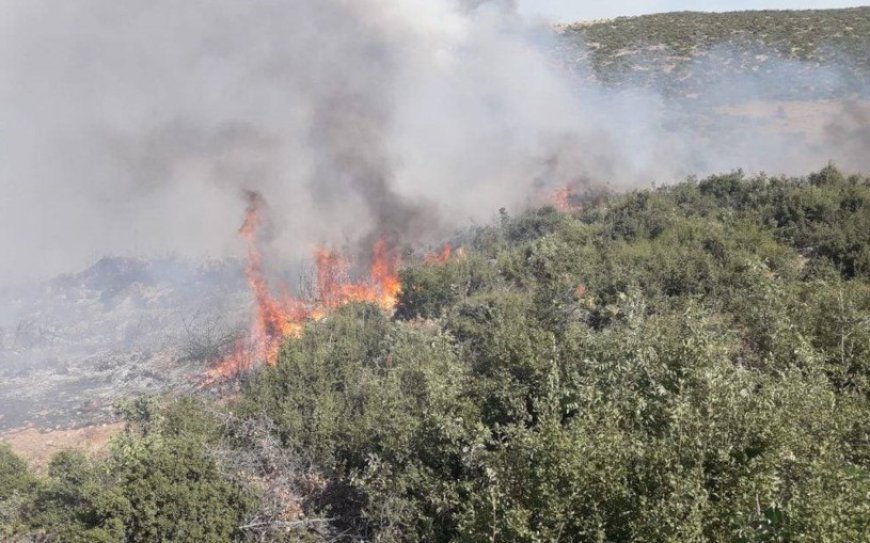 7 roj e çiya û deştên Efrînê dişewitin