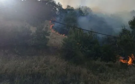 Li bajarokê Sîtek şewat derket 