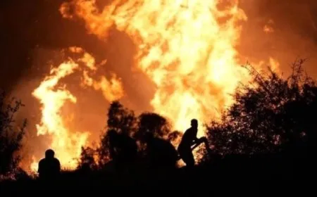 Li rojavayê Tirkiyeyê şewat: 78 kes birîndar bûn