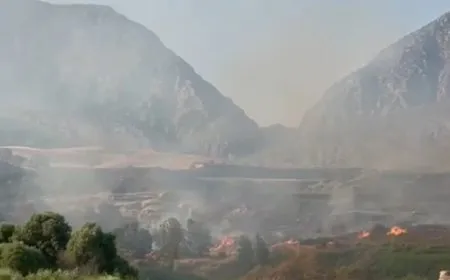 Dewleta Tirk careke din Başûr bombebaran kir: Bax û baxçeyên welatiyan şewitîn