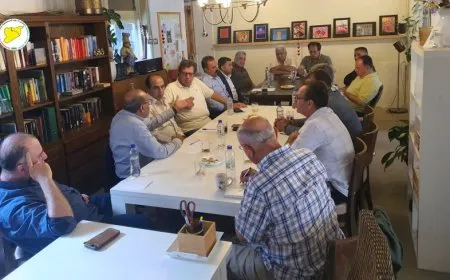 MSDˊê li Holland panelek li dar xist