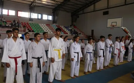 Ji Meclisa Werzîşê şampiyonaya karateyê
