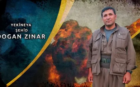 Ji gerîla çalakiyên hewayî