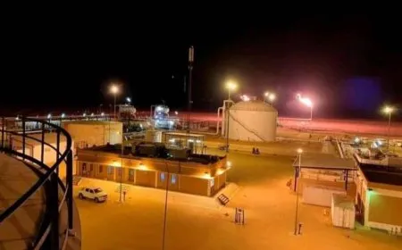 NY têkildarî aloziya Banka Navendî û petrolê yên Lîbyayê dicive