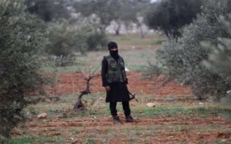 Li Efrînê 2 welatî hatin revandin
