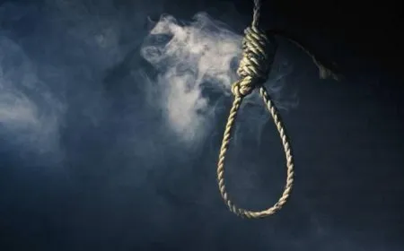 Dadweriya Iraqê cezayê darvekirinê li emîrekî DAIŞˊê birî