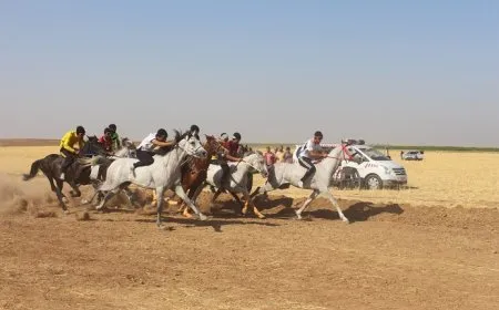 Li Çilaxayê pêşbirka hespan