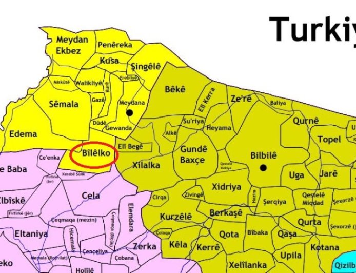 Li gundekî tenê 2 hezar û 550 dar şewitandin