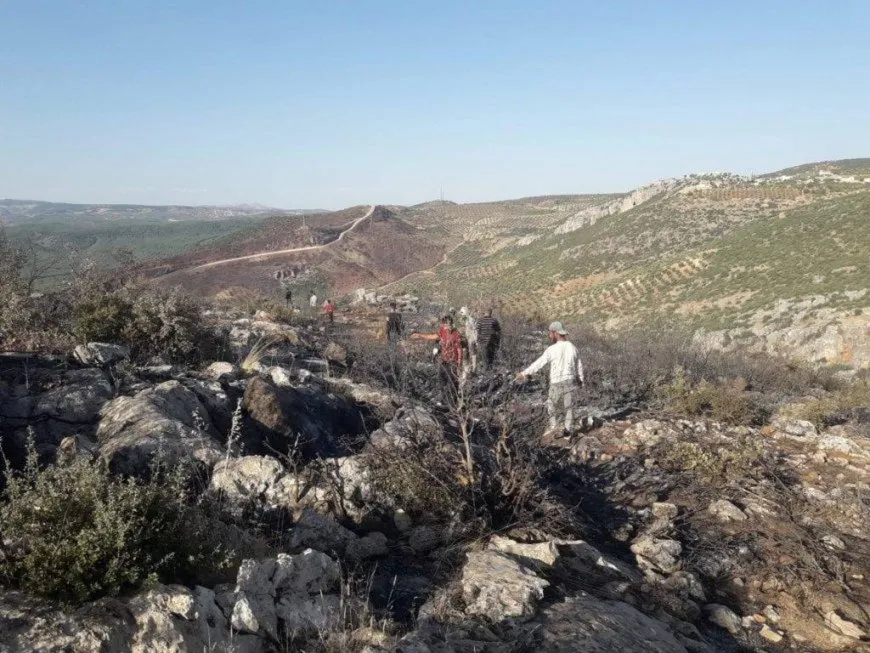 Îbrahîm Şêxo: Efrînê dikin çolistan