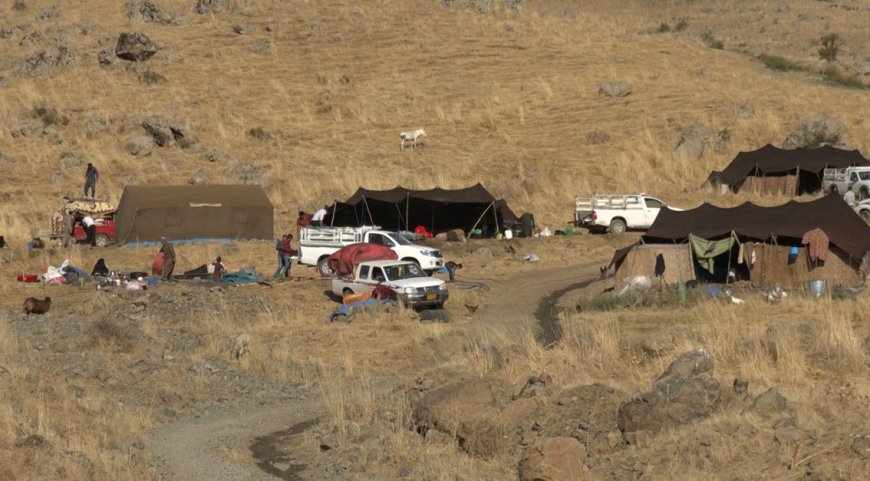 Koçerên li Biradostê Ji ber bombebaranên dewleta Tirk zozanên xwe ber didin