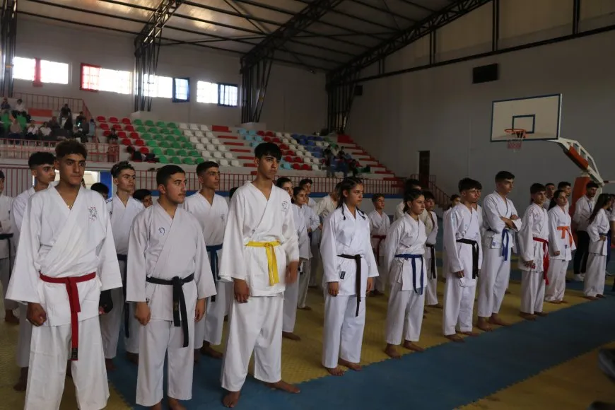 Ji Meclisa Werzîşê şampiyonaya karateyê