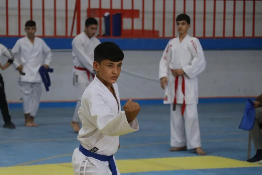 Ji Meclisa Werzîşê şampiyonaya karateyê