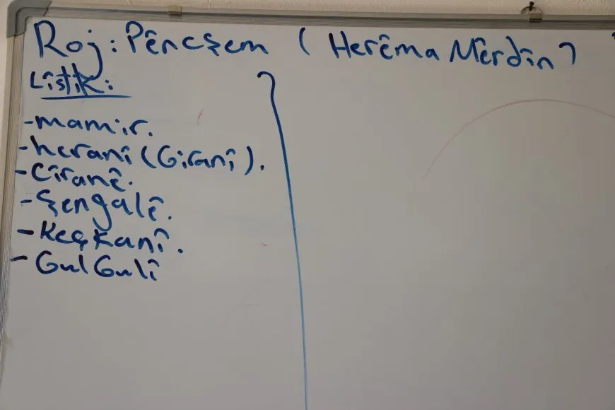 Komên Helebê fêrî govendên gelêrî yên Bakur dibin