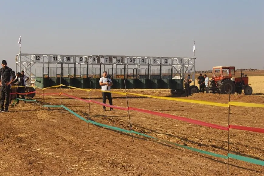 Li Çilaxayê pêşbirka hespan