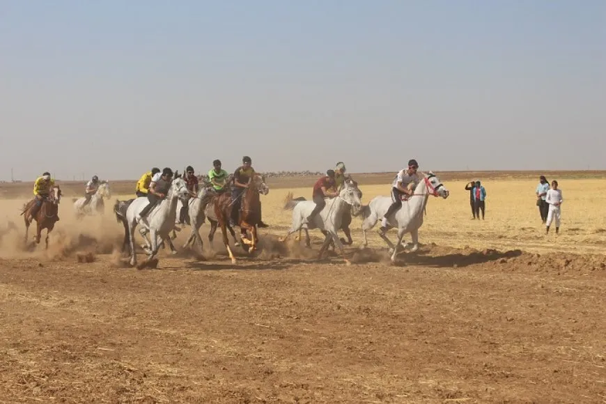 Li Çilaxayê pêşbirka hespan