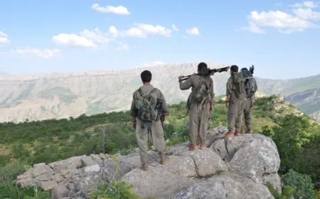 Ji dayikên gerîlayan li dijî dagirkeriyê banga mezinkirina têkoşînê