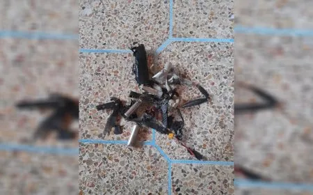 Li Minbicê droneke artêşa dagirker hate xistin