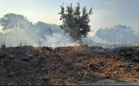 Şerê li başûrê Lubnanê didome