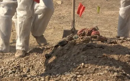 Nivîskar û çalakvanan bang kirin: Gorên komî bi awayekî zanistî vekin