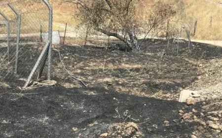 Li bajarokê Sîtek şewat