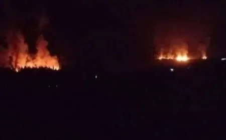 Di êrişên Îsraîlê yên li Sûriyeyê de 14 kes kuştî û 43 birîndar