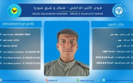 Endamekî Hêzên Ewlekariya Hundirîn şehîd bû