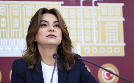 Gulistan Kiliç Koçyîgît: Pergala Îmraliyê êdî di rojeva cîhanê de ye