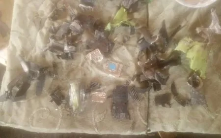 Şervanên Minbicê droneke xwekuj xist xwarê