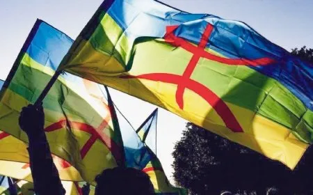 Însiyatîfa Amaxîzî ya Azadiya Rêber Abdullah Ocalan hat avakirin