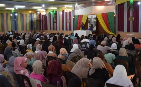 Li ser komploya navneteweyî ya li dijî Rêber Abdullah Ocalan civînên girseyî