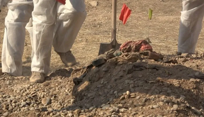 Nivîskar û çalakvanan bang kirin: Gorên komî bi awayekî zanistî vekin