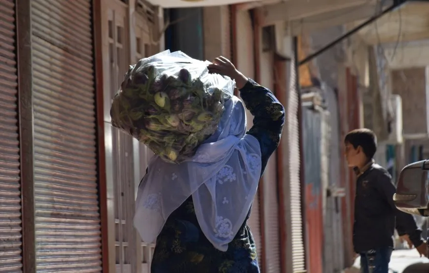 Çandina sebzeyan li herêmê hilberîneke baş dide