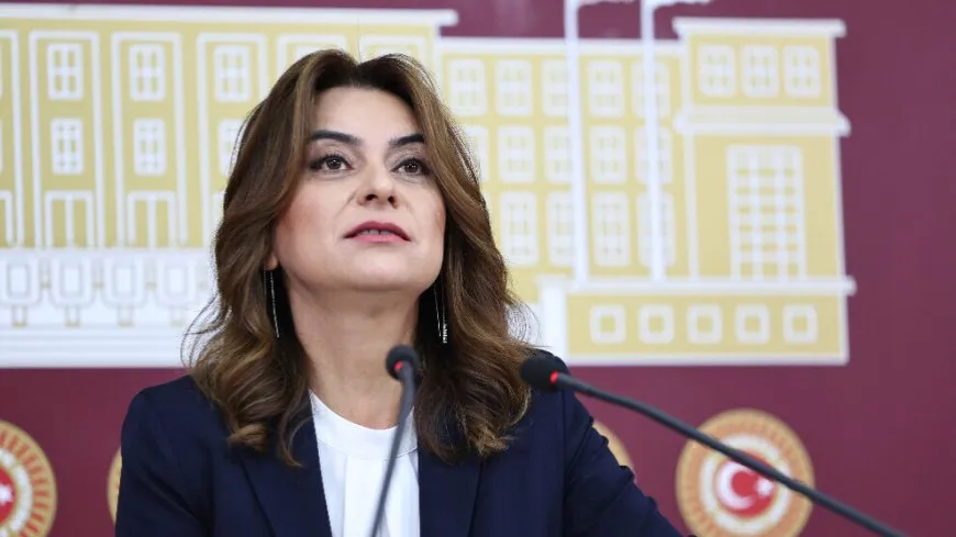 Gulistan Kiliç Koçyîgît: Pergala Îmraliyê êdî di rojeva cîhanê de ye