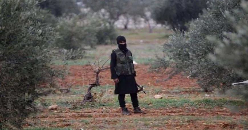 Ferzkirina pereyan û gefxwarinên li dijî Efrîniyan zêde bûn