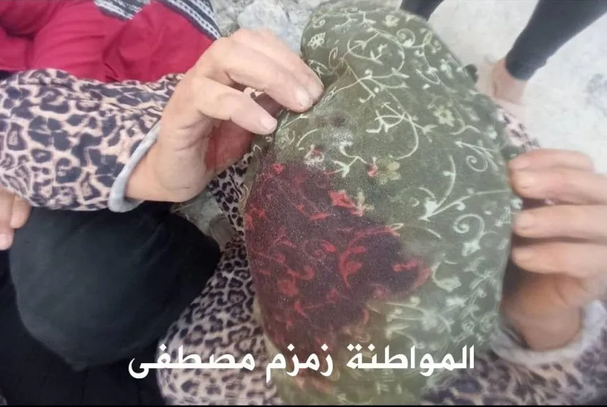 Hiqûqnas: Divê ji dewleta Tirk û çeteyên wê hesab were pirsîn