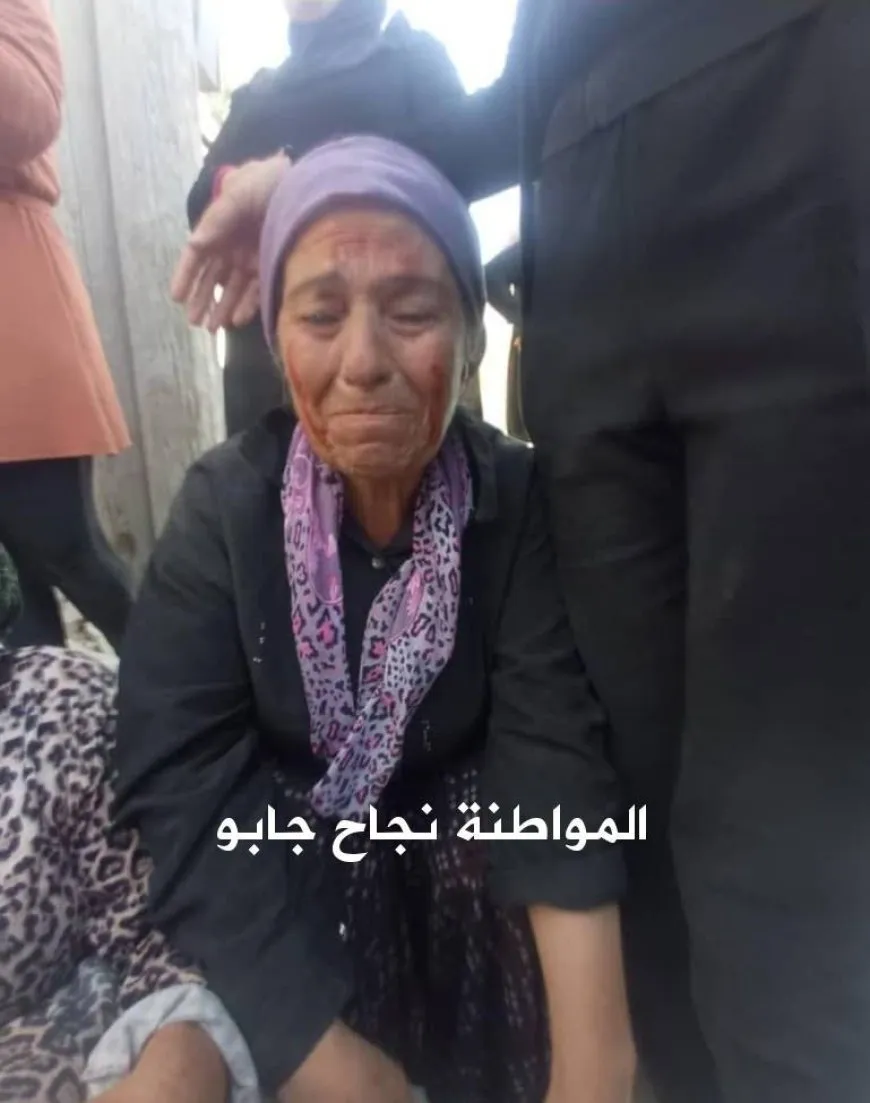 Hiqûqnas: Divê ji dewleta Tirk û çeteyên wê hesab were pirsîn
