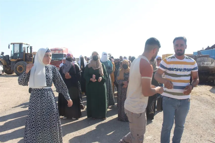 Ji ciwanên Holê pêngava paqijiyê