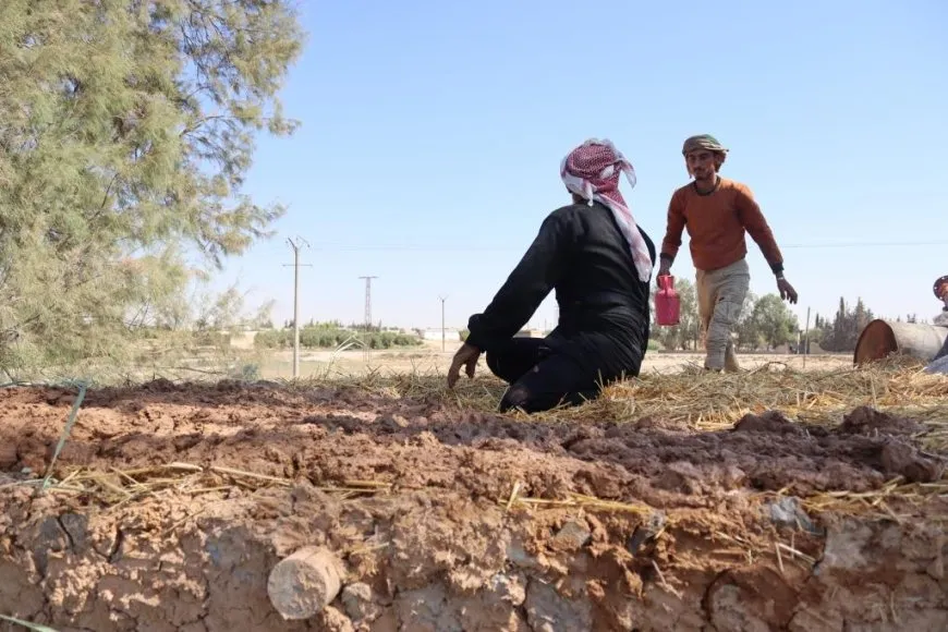 Xelkê Reqayê xaniyên heriyê restora dikin
