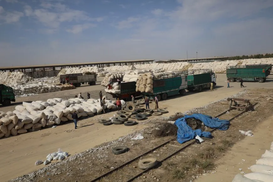 Rêveberiya Xweser 3 navend ji bo wergirtina pembo amade kirine