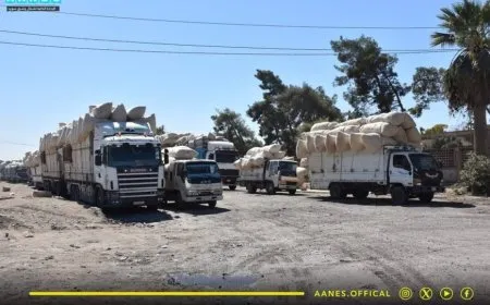 Saziya Giştî ya Pembo hezar û 400 ton pembo wergirt
