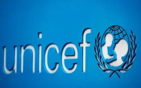 UNICEF: Zêdeyî 370 milyon zarokên mexdûrê destdirêjiyê ne