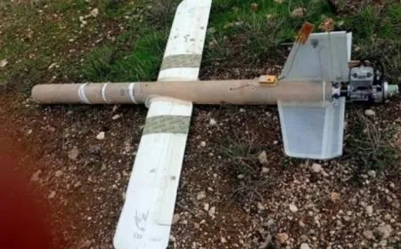 Hêzên Şamê 9 balafirên bêmirov ên çeteyan li Idlib û Laziqiyê xistin