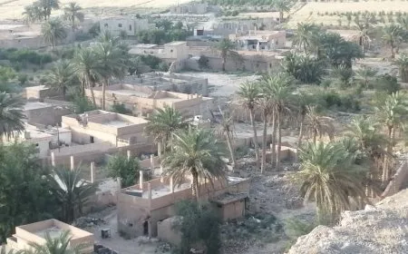 Bajarokê Baxozê pêdiviya xwe ji xurmeyan peyda dike