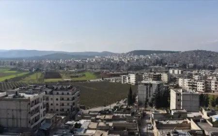  Çeteyan jinek û birayê wê revandin