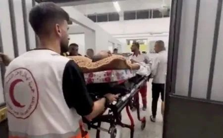 Di 22 rojan de li Xezayê 800 kes hatin kuştin