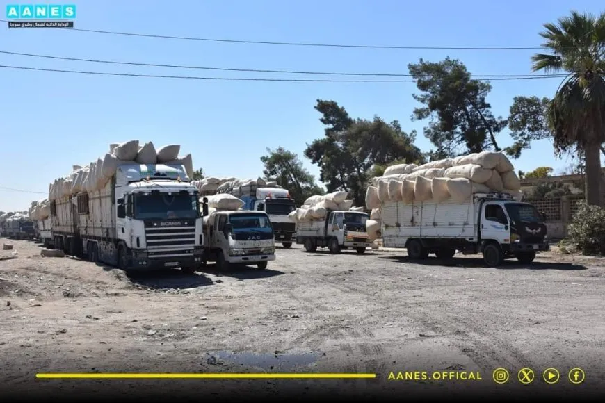 Saziya Giştî ya Pembo hezar û 400 ton pembo wergirt